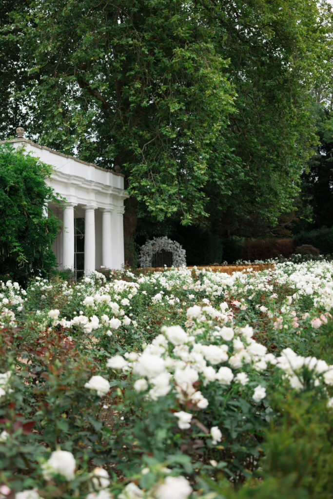 Editorial Wedding Photographer, Luxury Wedding at Avington Estate Park South London UK